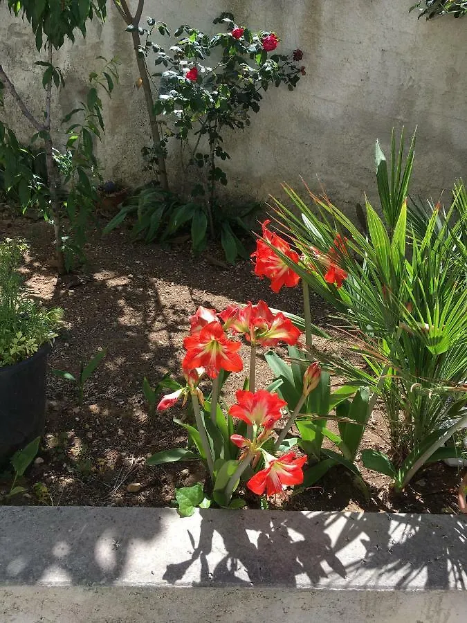 Casa Vacanza Demi Alcamo Marina